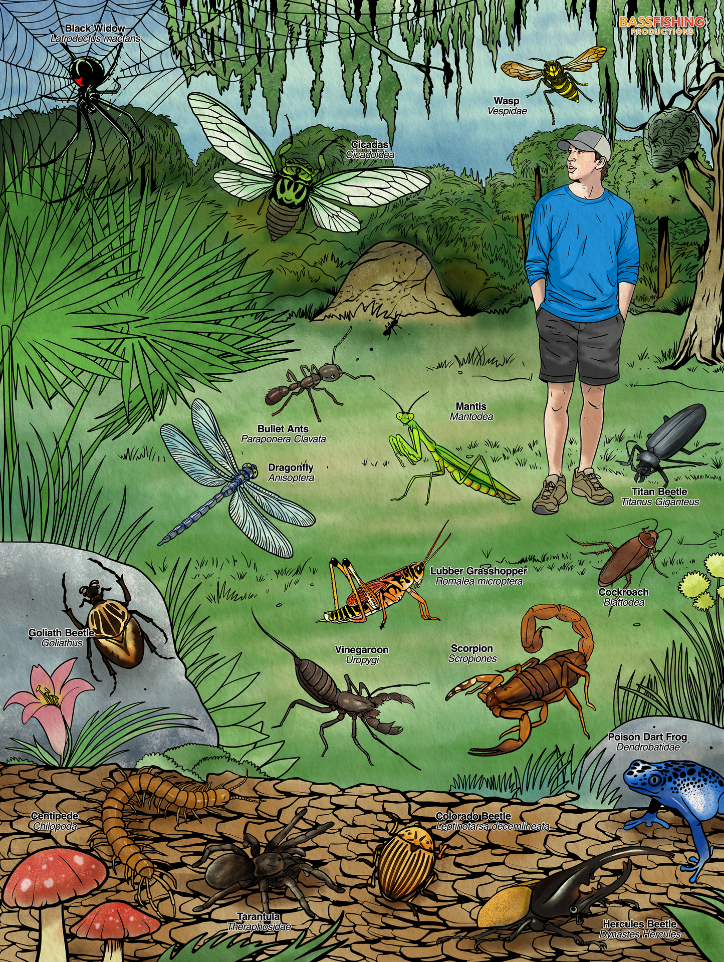BFP Bugs Poster