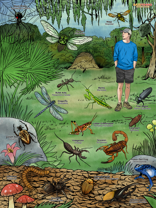 BFP Bugs Poster