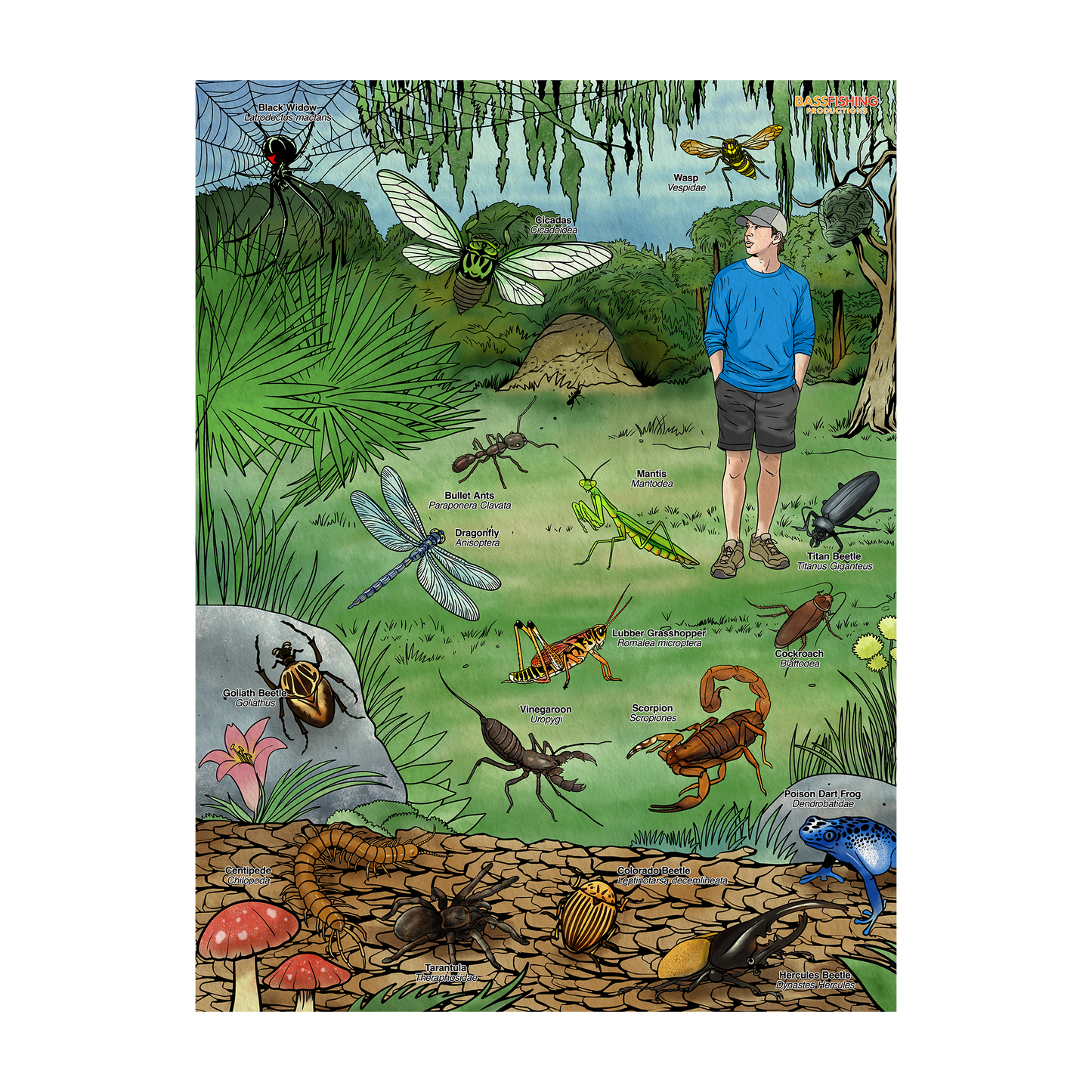 BFP Bugs Poster