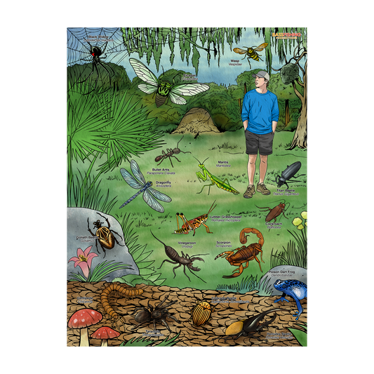 BFP Bugs Poster