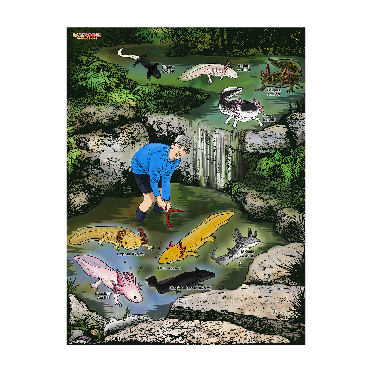 BFP Axolotl Poster