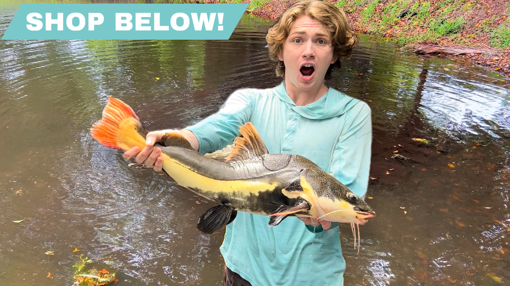 Bass Fishing Productions Bassfishingproductions.shop – Bassfishingproductions Shop