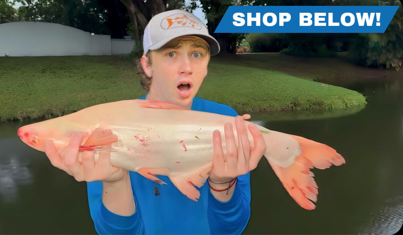 Bass Fishing Productions Bassfishingproductions.shop – Bassfishingproductions Shop
